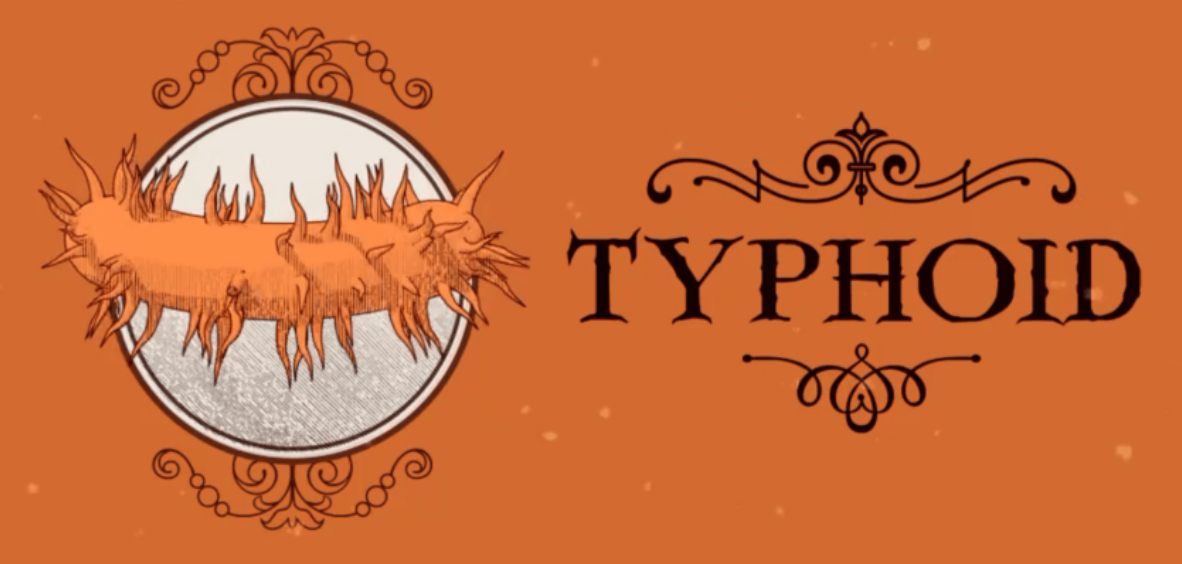 How was typhoid eliminated in the past?